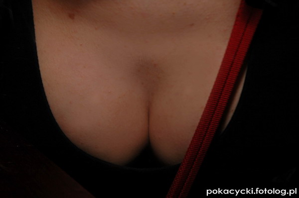 galeria foto. pokacycki.eu