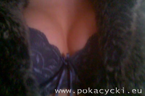 galeria foto. pokacycki.eu