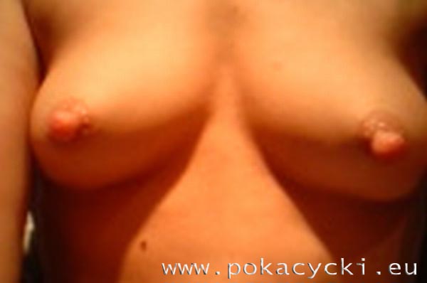 galeria foto. pokacycki.eu