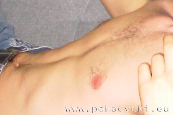 galeria foto. pokacycki.eu